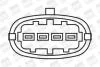 BERU Катушка зажигания OPEL Omega B 2,5/3,0 94- BorgWarner ZS306 (фото 2)
