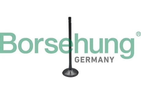 Впускний клапан OE BORSEHUNG B10323