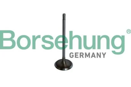 Впускний клапан OE BORSEHUNG B10325