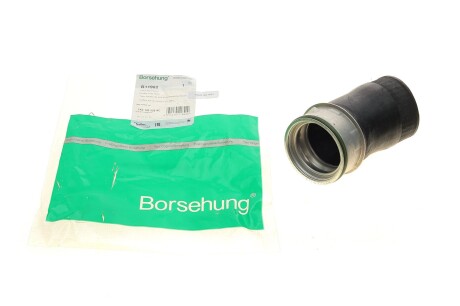 Патрубок інтеркулера BORSEHUNG B11982