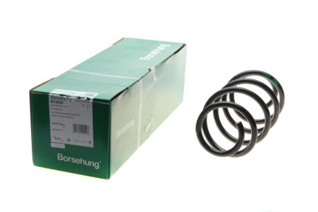 Пружина підвіски BORSEHUNG B12625