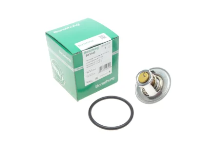 Термостат VW T5/Caddy/Passat 1.6/2.0i 03-15 (від 87-102 ° C) BORSEHUNG B13140