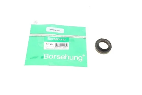 Сальник BORSEHUNG B17833