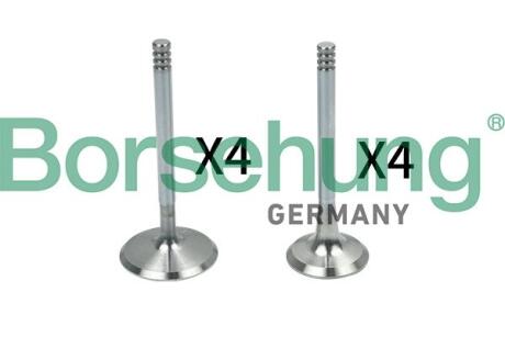 Клапан ГРМ BORSEHUNG B18148