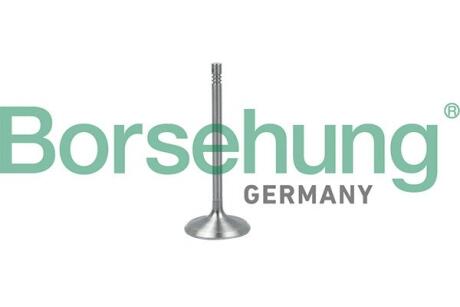 Клапан впускний BORSEHUNG B19017