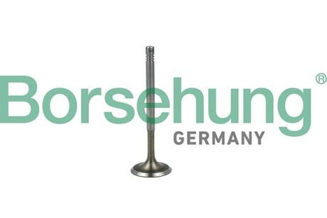 Клапан впускний BORSEHUNG B19019