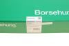 Натяжна планка ланцюга ГРМ BORSEHUNG B1G035 (фото 6)
