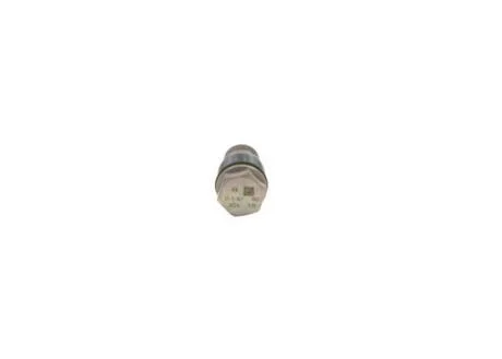 Елемент системи Common Rail BOSCH 1110010026
