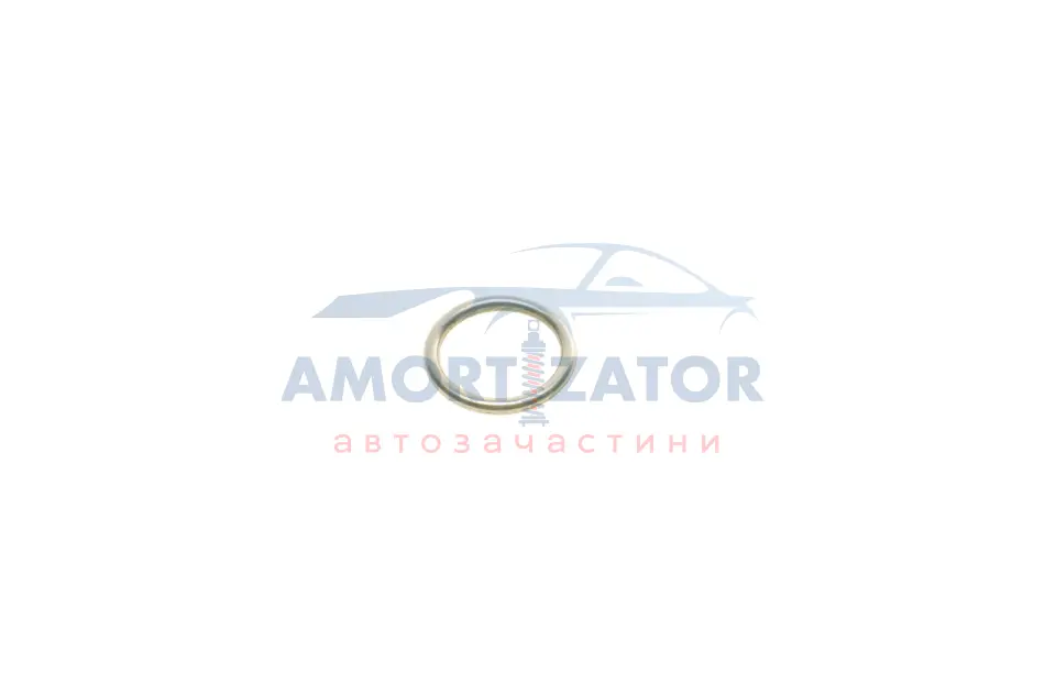УЩІЛЬНЮВАЛЬНЕ КІЛЬЦЕ BOSCH 2 430 210 081 (фото 1)