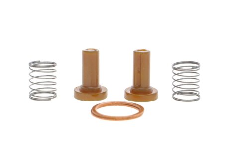 BOSCH 2447010011