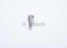 Розпилювач дизель BOSCH F01G0V5000 (фото 4)