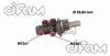 FORD Главный тормозной цилиндр B-MAX (JK) 1.0 12-, FIESTA VI 1.0 13-, FIESTA VI Van 1.6 TDCi 09- CIFAM 202887 (фото 1)
