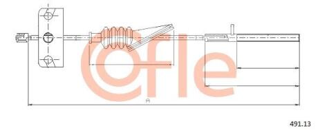 COFLE 491.13