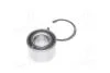 Підшипник маточини OPEL задн. міст (Вир-во COMPLEX) COMPLEX AUTOMOTIVE BEARINGS Sp.z.o.o. CX013 (фото 2)
