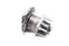 Маточина у зборі OPEL ASTRA F (Вир-во COMPLEX) COMPLEX AUTOMOTIVE BEARINGS Sp.z.o.o. CX294 (фото 3)
