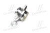 Підшипник маточини SKODA FABIA задн. міст (COMPLEX) COMPLEX AUTOMOTIVE BEARINGS Sp.z.o.o. CX515 (фото 2)