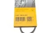Ремінь генератора поліклиновий CONTINENTAL CONTITECH 3PK798 ELAST (фото 6)