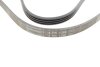 Ремінь генератора поліклиновий CONTINENTAL CONTITECH 4PK1366 (фото 3)