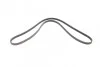 Ремінь генератора поліклиновий CONTINENTAL CONTITECH 4PK1520 (фото 4)