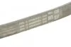Доріжковий пас CONTITECH 4PK753 ELAST (фото 3)