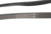 Ремінь генератора поліклиновий CONTINENTAL CONTITECH 4PK811 ELAST (фото 3)