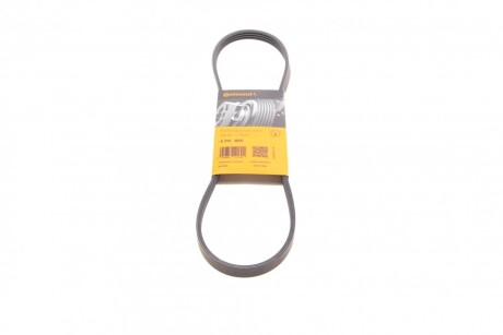 Ремінь генератора поліклиновий CONTINENTAL CONTITECH 4PK885