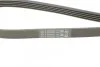 Ремінь генератора поліклиновий CONTINENTAL CONTITECH 5PK1120 (фото 4)