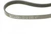Ремінь генератора поліклиновий CONTINENTAL CONTITECH 5PK1121 EXTRA (фото 3)