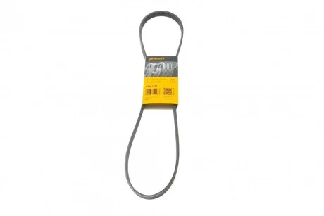 Ремінь генератора поліклиновий CONTINENTAL CONTITECH 5PK1145