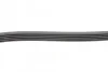Ремінь генератора поліклиновий CONTINENTAL CONTITECH 5PK1165 (фото 2)