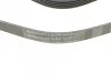 Ремінь генератора поліклиновий CONTINENTAL CONTITECH 5PK1230 (фото 4)
