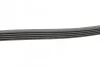 Ремінь генератора поліклиновий CONTINENTAL CONTITECH 5PK1290 (фото 2)