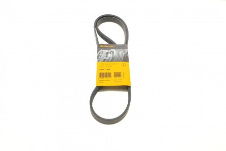 Ремінь генератора поліклиновий CONTINENTAL CONTITECH 5PK1355