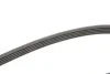 Ремінь генератора поліклиновий CONTINENTAL CONTITECH 5PK1441 (фото 3)