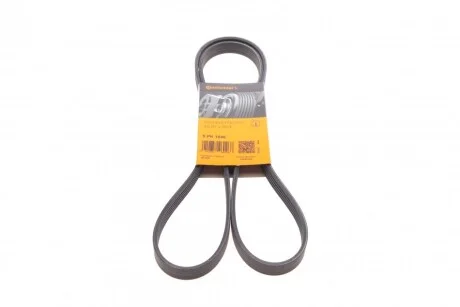 Ремінь генератора поліклиновий CONTINENTAL CONTITECH 5PK1646