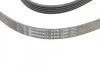 Ремінь генератора поліклиновий CONTINENTAL CONTITECH 5PK1680 (фото 4)