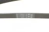 Ремінь генератора поліклиновий CONTINENTAL CONTITECH 5PK1765 (фото 3)