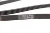 Ремінь генератора поліклиновий CONTINENTAL CONTITECH 5PK1788 (фото 3)
