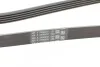 Ремінь генератора поліклиновий CONTINENTAL CONTITECH 5PK2060 (фото 3)