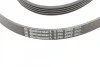 Ремінь генератора поліклиновий CONTINENTAL CONTITECH 5PK2060 (фото 4)