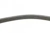 Ремінь генератора поліклиновий CONTINENTAL CONTITECH 5PK716 ELAST (фото 2)