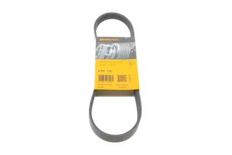 Ремінь генератора поліклиновий CONTINENTAL CONTITECH 5PK725