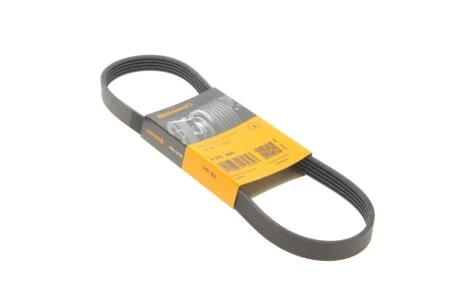 Ремінь генератора поліклиновий CONTINENTAL CONTITECH 5PK805