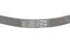 Ремінь генератора поліклиновий CONTINENTAL CONTITECH 5PK868 ELAST (фото 3)