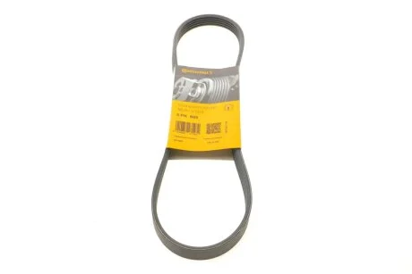 Ремінь генератора поліклиновий CONTINENTAL CONTITECH 5PK869