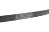 Ремінь генератора поліклиновий CONTINENTAL CONTITECH 5PK926 ELAST (фото 2)