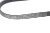 Ремінь генератора поліклиновий CONTINENTAL CONTITECH 5PK926 ELAST (фото 3)