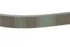 Ремінь генератора поліклиновий CONTINENTAL CONTITECH 6PK1010 (фото 3)