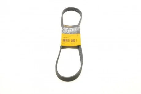 Ремінь генератора поліклиновий CONTINENTAL CONTITECH 6PK1010