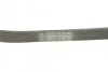 Ремінь генератора поліклиновий CONTINENTAL CONTITECH 6PK1019 ELAST (фото 3)
